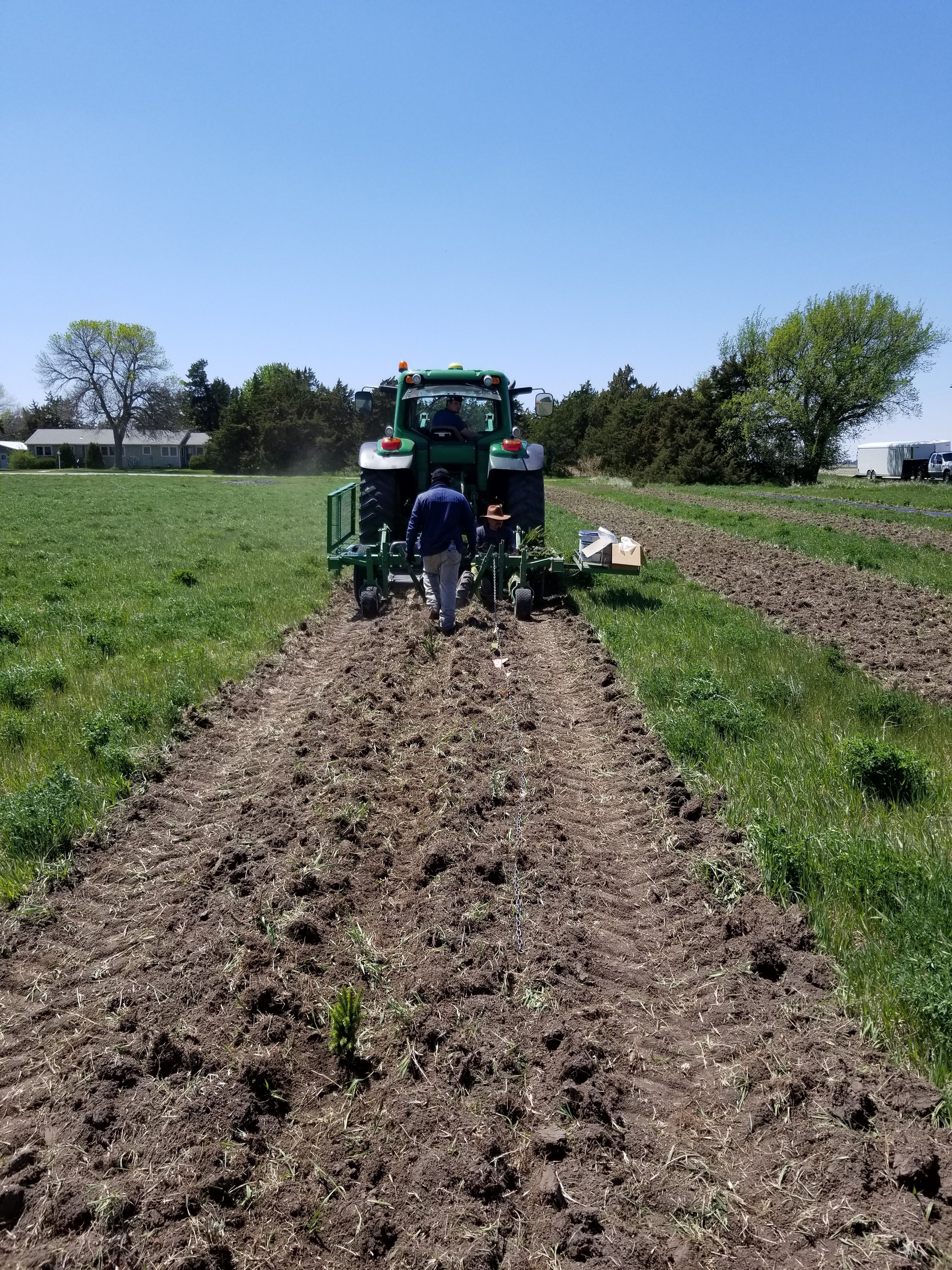 Site Prep Tree Planting