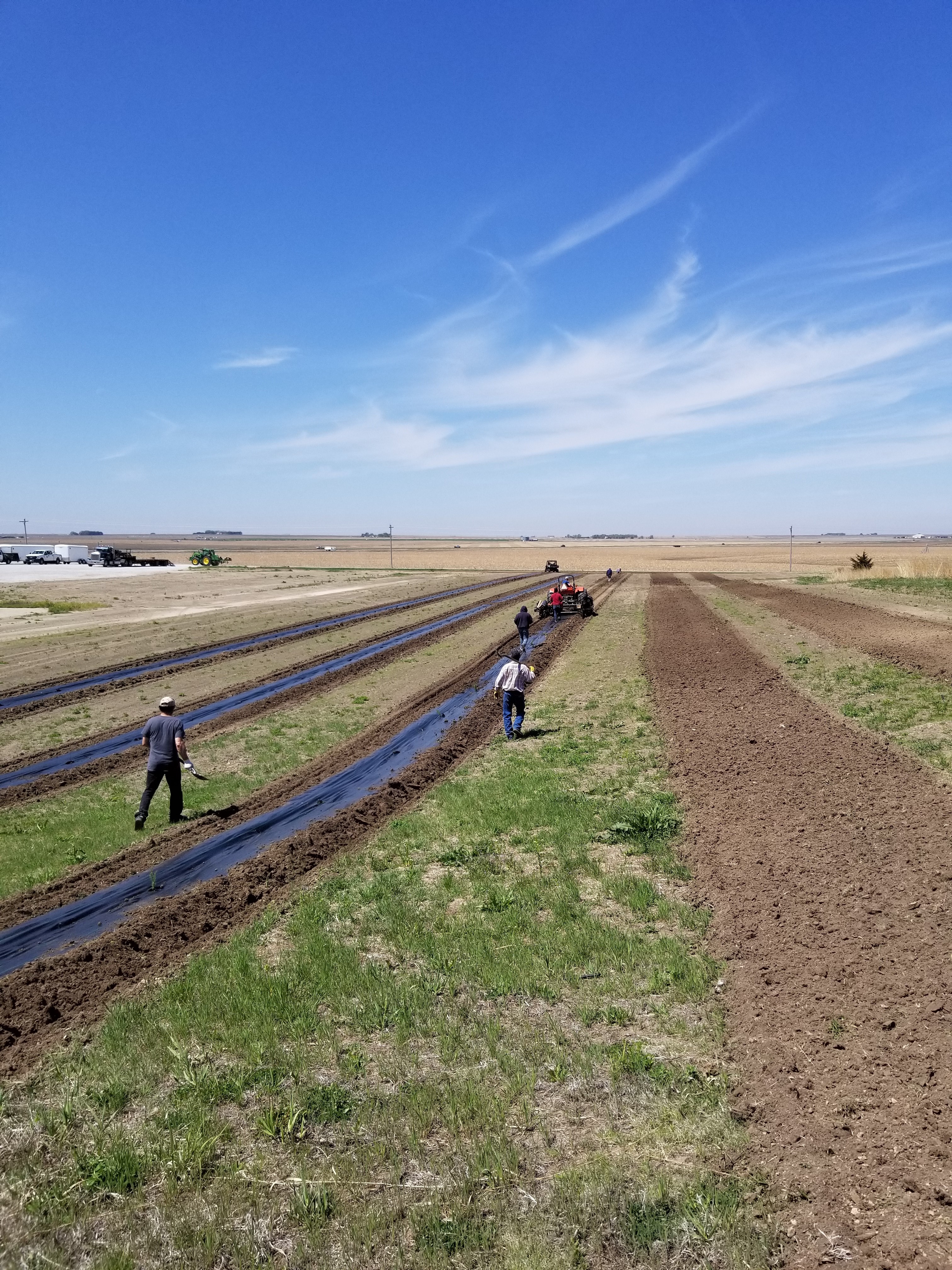 Tri-Basin NRD Tree Planting 2020