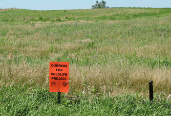 corners for wildlife sign in native grass area