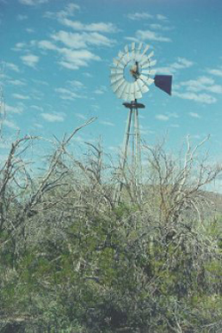 windmill with overgrowth in front and cloudy sky