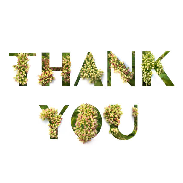 Thank You Image