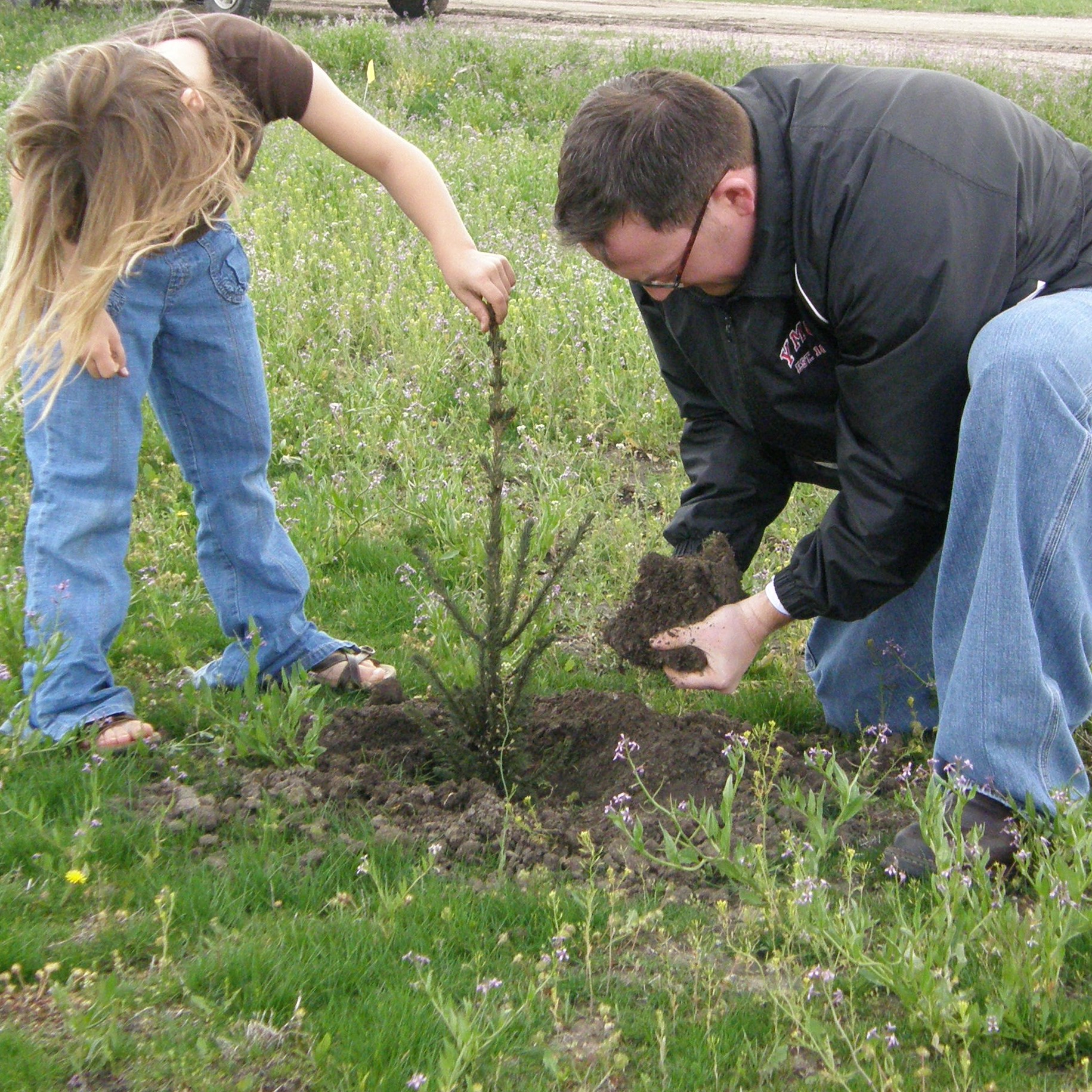 Hand Planting Trees
