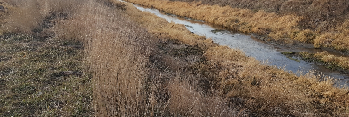 Drainage Ditch