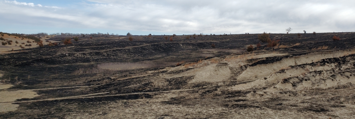 Gosper County Fire Damaged