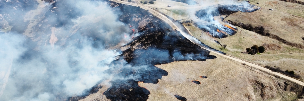 Arial of Burn