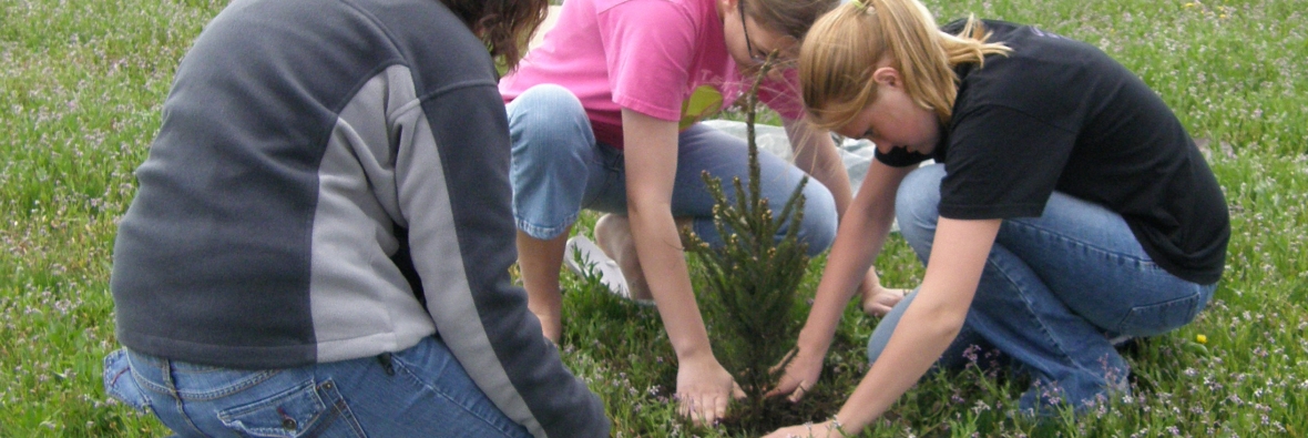 Tree Planting