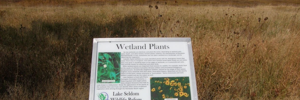 Lake Seldom Wetland Plants Sign