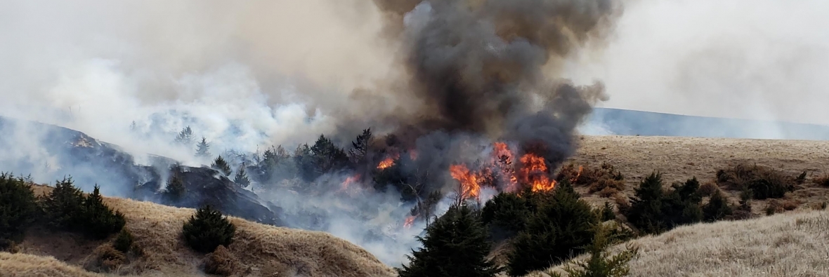 Pasture Controlled Burn