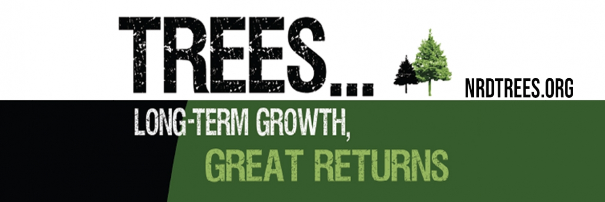 Trees..Long-Term Growth, Great Returns