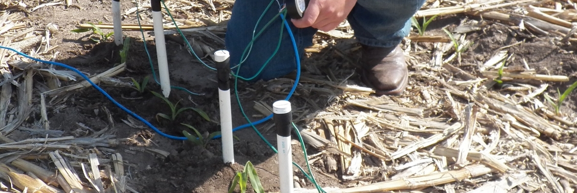 Soil Moisture Sensors in Corn