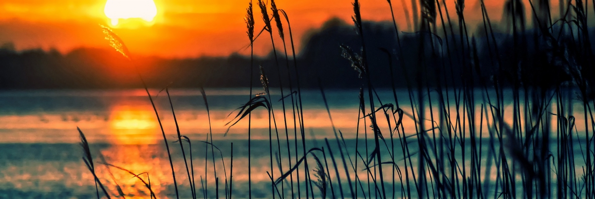 Lake Sunset