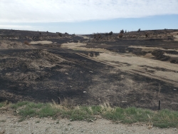 Fire Devistated Area in Gosper County