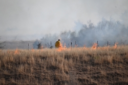 Conducting a Prescribed Fire