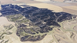 Controlled Burn Arial Image