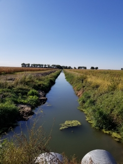 Whiskey Slough After Cleanout 2020