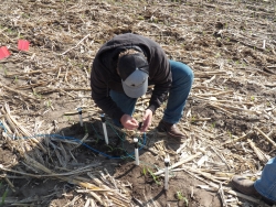 Soil moisture sensors