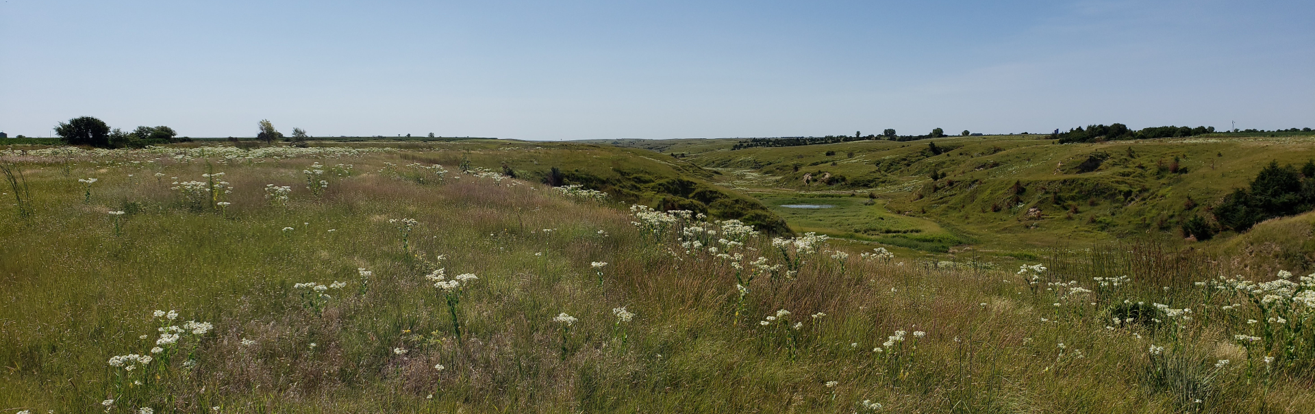 PRD Pasture Valley