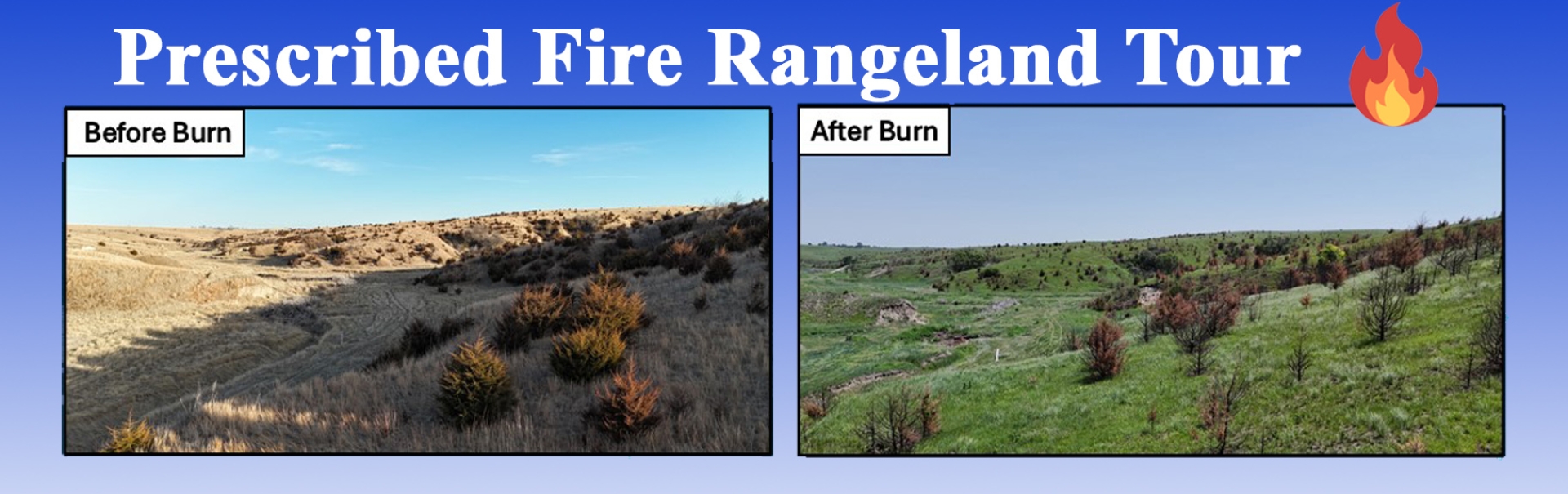 Prescribed Fire Rangeland Tour