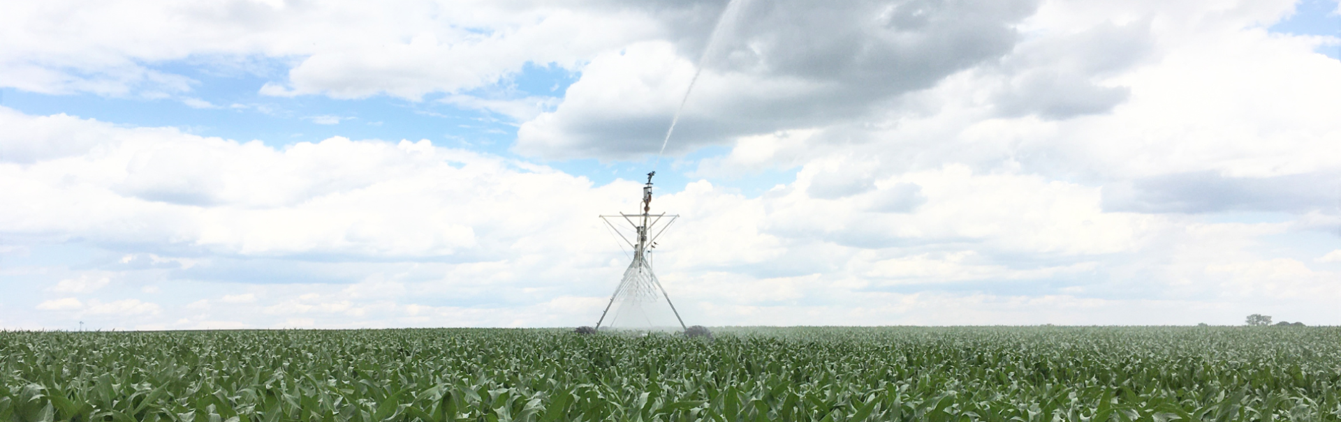Pivot Irrigating Corn