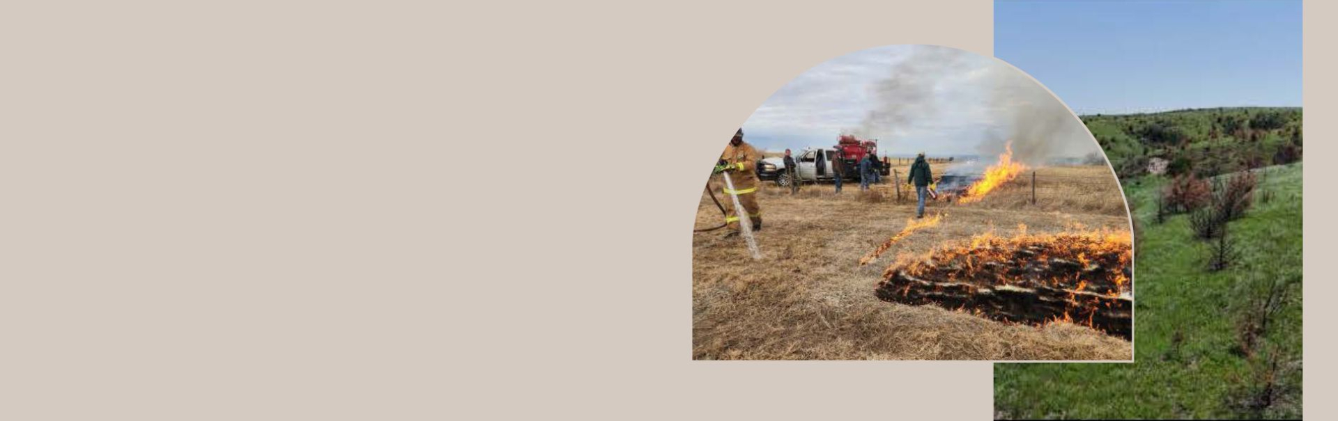 Prescribed Fire and Regrowth images