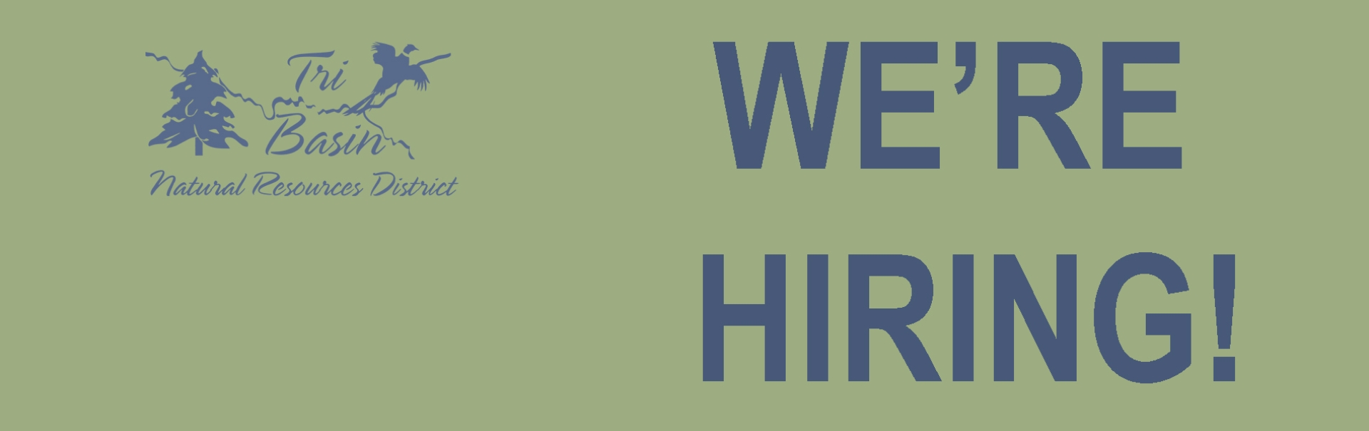 We're Hiring