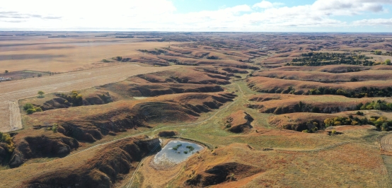 PRD Pasture