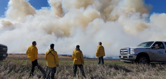 Smoke Plume