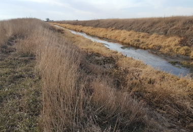 Drainage Ditch