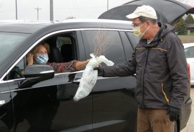 Arbor day trees given to local residents