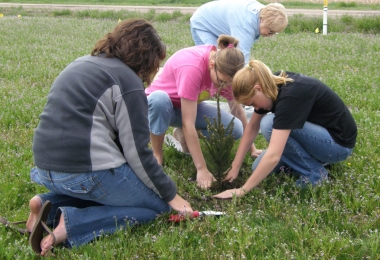 Tree Planting