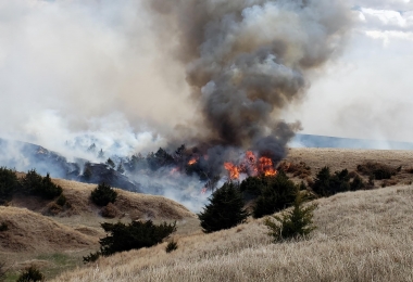 Pasture Controlled Burn