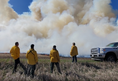 Smoke Plume