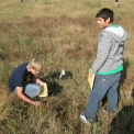students identifying range plants