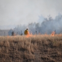 Conducting a Prescribed Fire